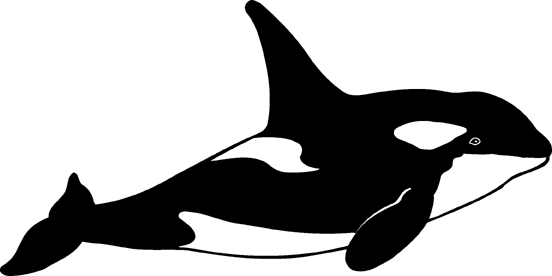 552x276 Orca Whale Clipart Free Images