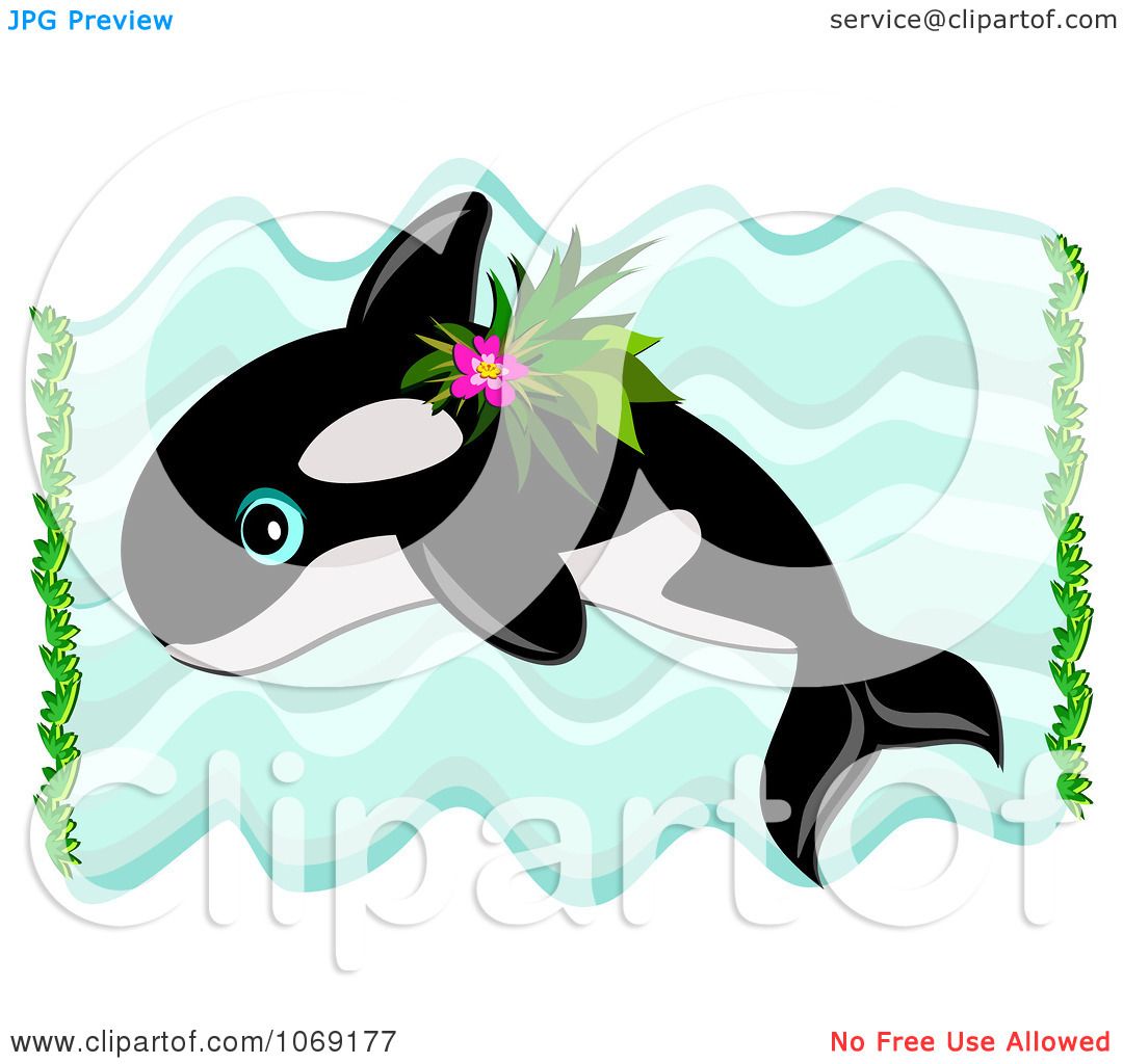 1080x1024 Top 88 Orca Clip Art