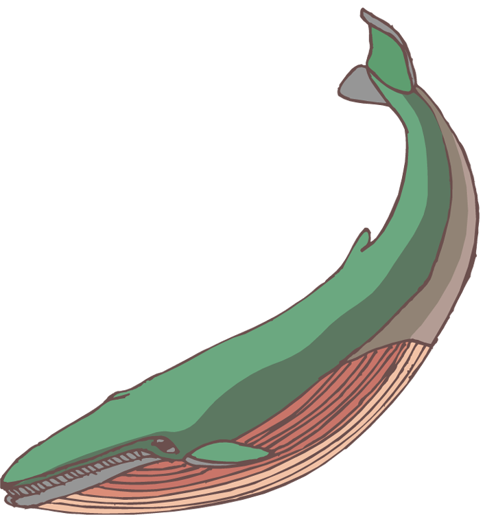 723x750 Whale Clipart And Illustration 2 Whale Clip Art Vector Image 5 4 4