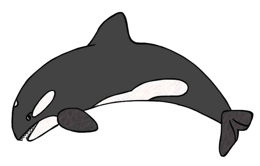 842x537 Free Whales Clipart Graphics Images And Photos 2