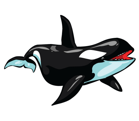 473x412 Top 90 Orca Clipart