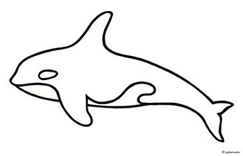 350x226 Whale Black And White Whale Outline Clipart Black And White