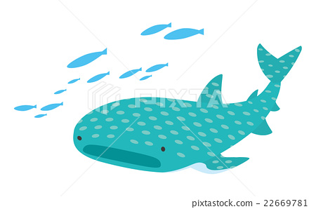 450x298 Whale Shark, Vector, Vectors