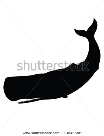 360x470 Sperm Whale Vector Projects To Try Silhouettes