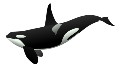 400x231 Whale Black And White Whale Silhouette Clipart 2