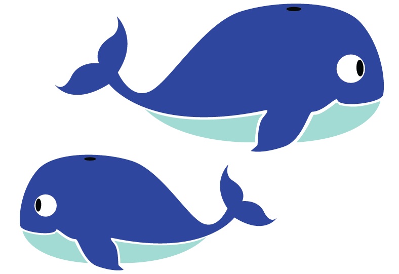 788x541 Whale Clipart Two