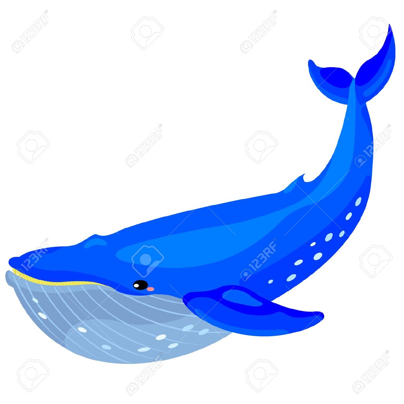 1300x1300 Humpback Whales Clipart