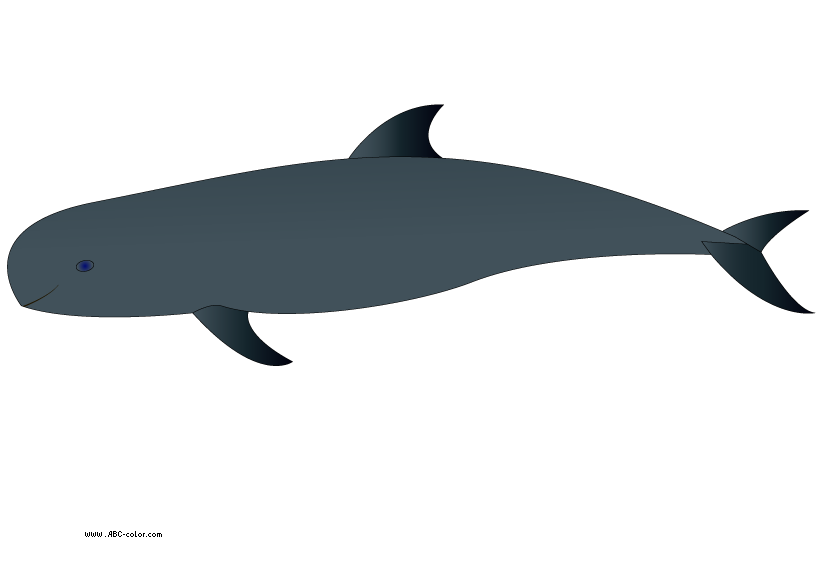 822x567 Whale Clip Art