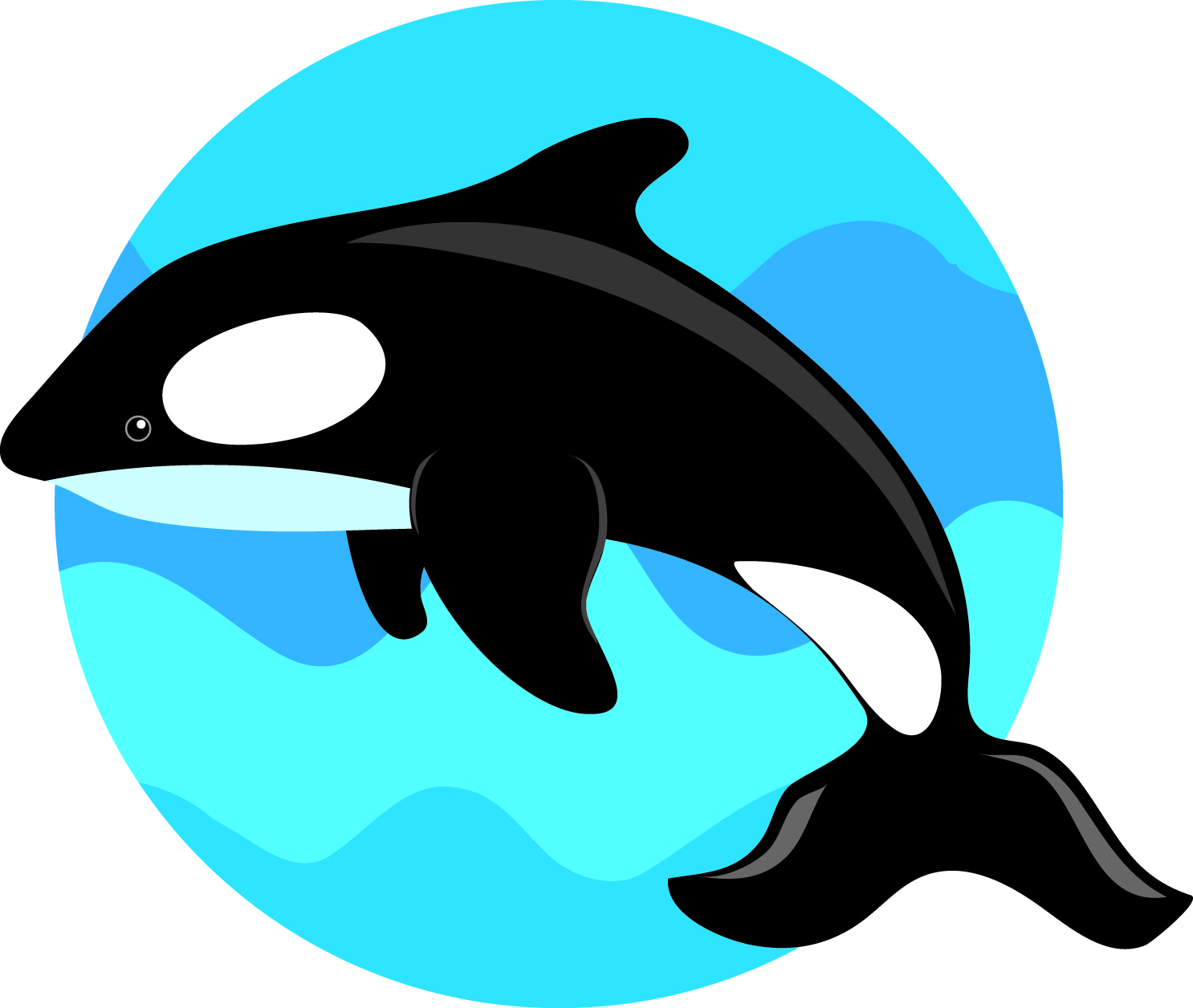 1486x1256 Top 75 Whale Clip Art