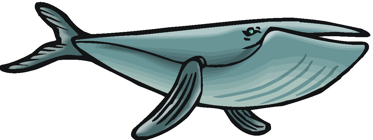 1200x452 Blue Whale Clipart Humback