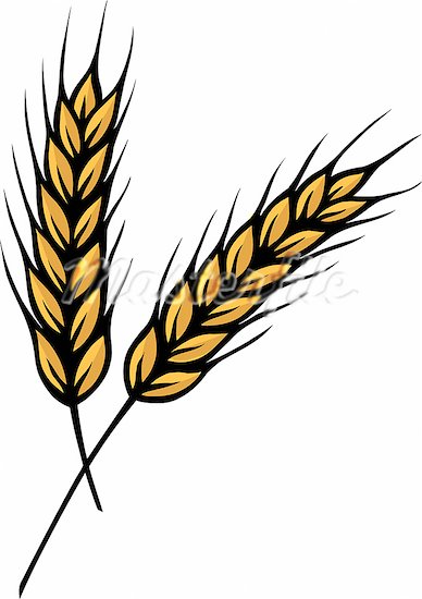 388x550 Free Wheat Clipart