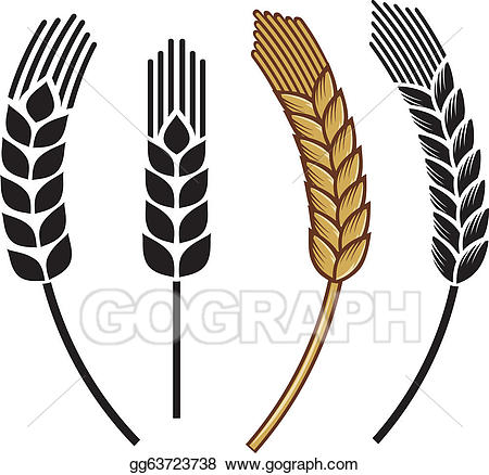 450x438 Stalk Clip Art