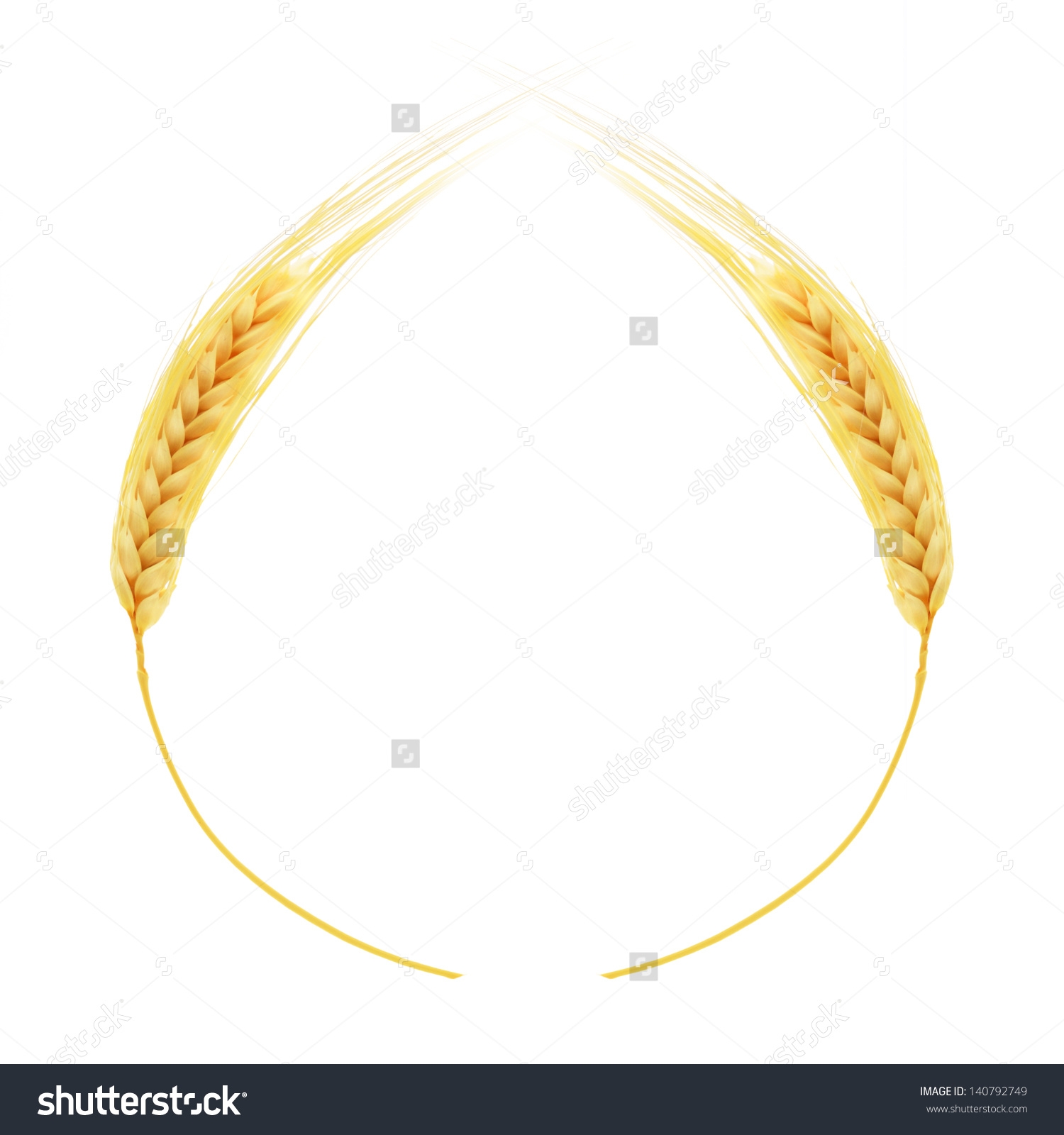 1500x1600 Wheat Border Clipart