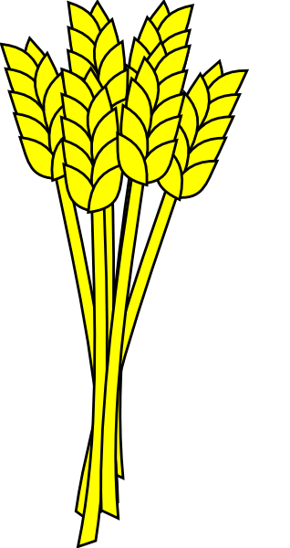 318x600 Yellow Wheat Clipart