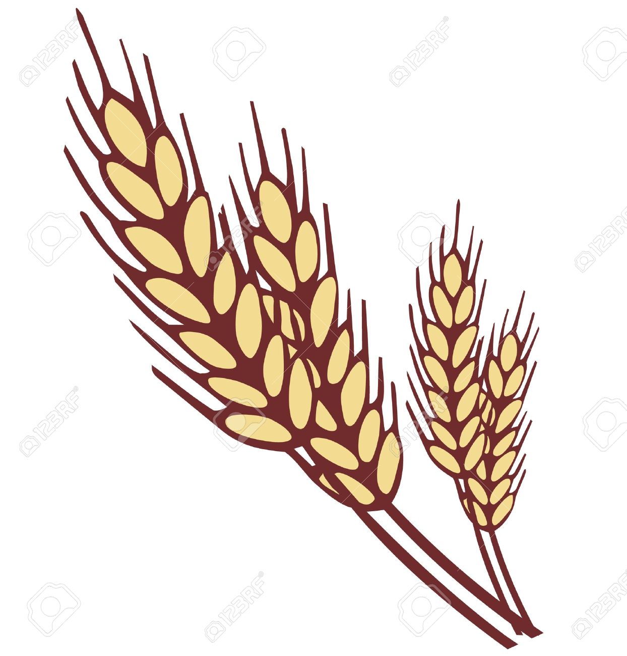 1244x1300 Grain Clipart Ear Wheat