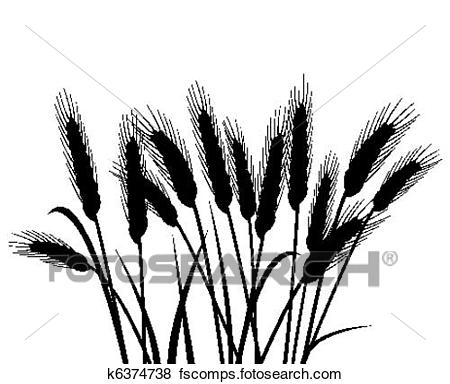 450x384 Clip Art Of Bunch Of Vector Wheat Ears K6374738