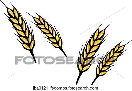 450x312 Clipart Of Bunch Of Wheat Jba0121