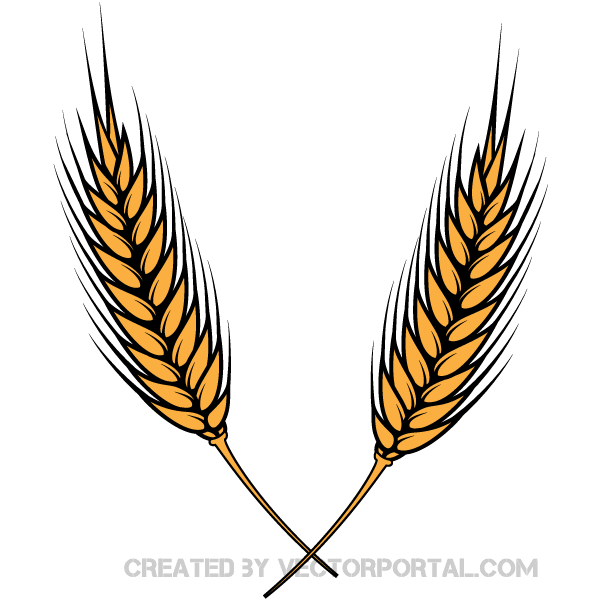 Wheat Clipart Black And White