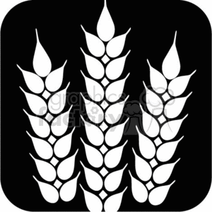 300x300 Royalty Free Wheat Kernels 372053 Vector Clip Art Image
