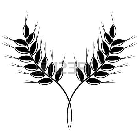450x441 Wheat Ears Icon Royalty Free Cliparts, Vectors, And Stock
