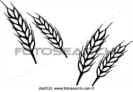 450x313 Wheat Harvest Black And White Clipart