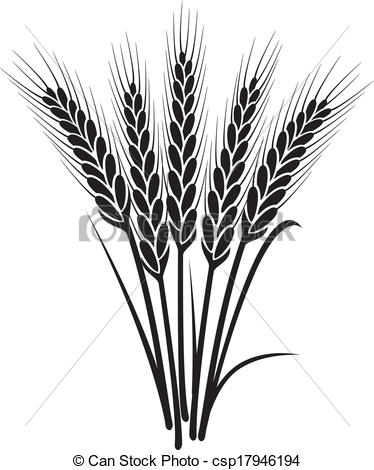 374x470 Wheat Clipart Black And White