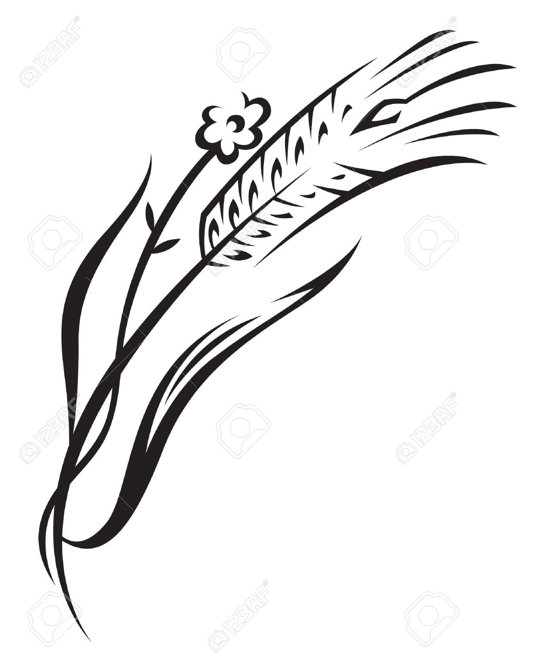 1063x1300 Wheat Clipart Rice Grain