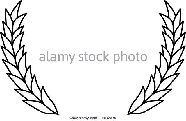 640x417 Whole Wheat Black And White Stock Photos Amp Images