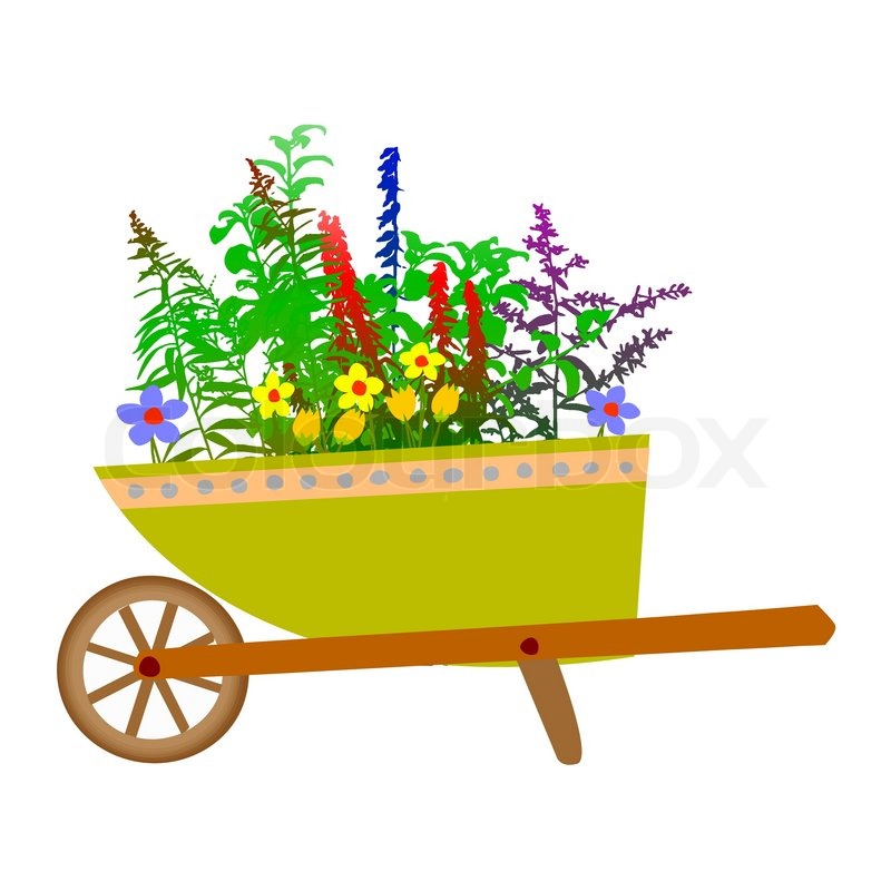 800x800 Wheelbarrow Garden And Flowers