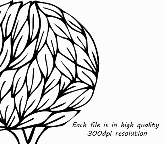 570x500 Doodle Trees Clipart, Hand Drawn Tree Clip Art, Digital Tree