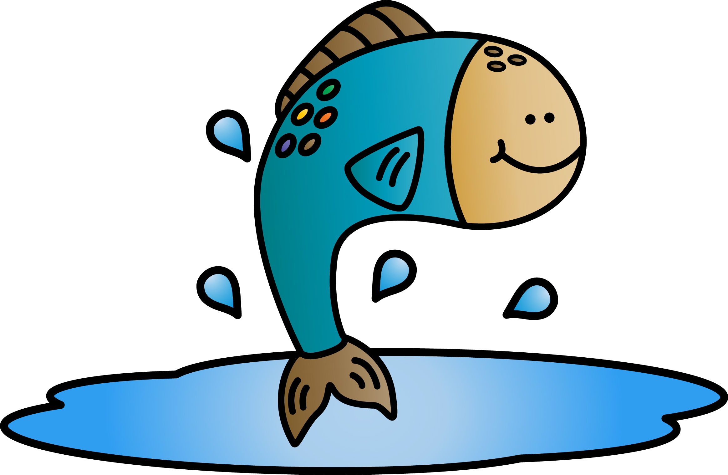 2327x1518 Field Trips Amp Summer Camps