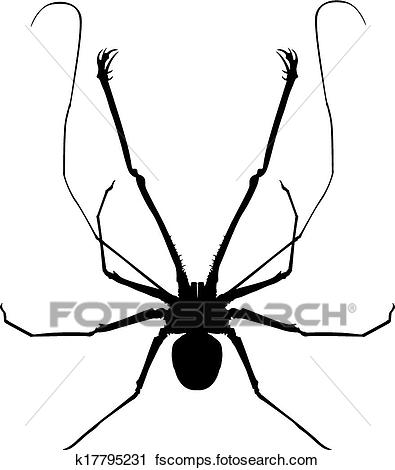 395x470 Clipart Of A Whip Spider K17795231