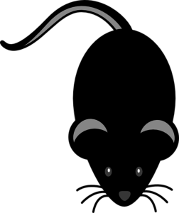 252x300 Black Mouse Light Grey Eyes Clip Art