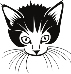 288x299 Whiskers Clipart Black And White