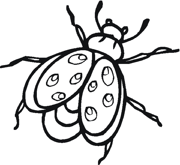 630x578 Bugs Clipart Creepy