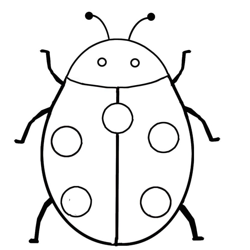 830x830 Lady Beetle Clipart Outline