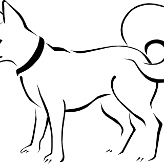 320x320 Scary Dog Bone Clipart, Explore Pictures