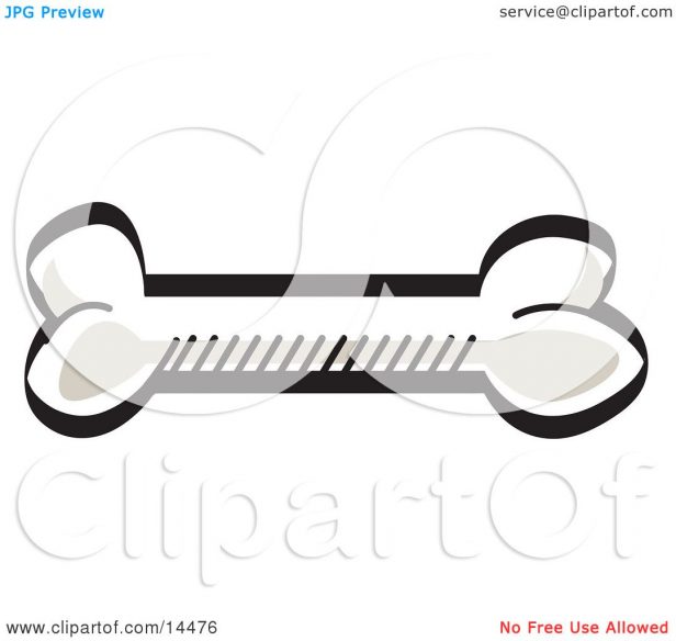 616x584 Furniture. White Dog Bone Cartoon Dog Bone Clipart Collection