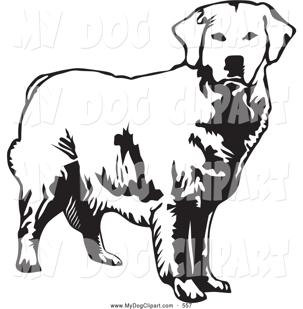1024x1044 Clip Art Of A Happy Alert Golden Retriever Dog Looking Forward