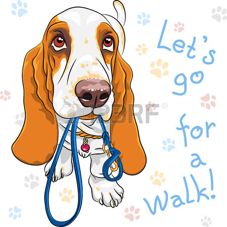 450x450 Smiling Dog Rottweiler Breed Sitting Isolated On The White