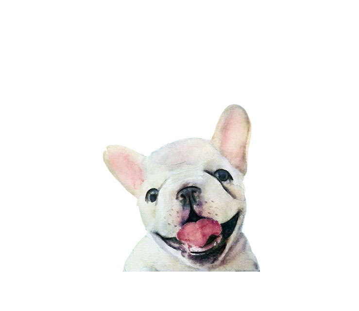 739x640 Watercolor French Bulldog Illustration