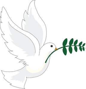 289x300 White Dove Clipart