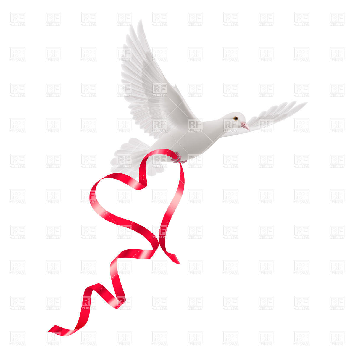 1200x1200 White Dove Clipart Background