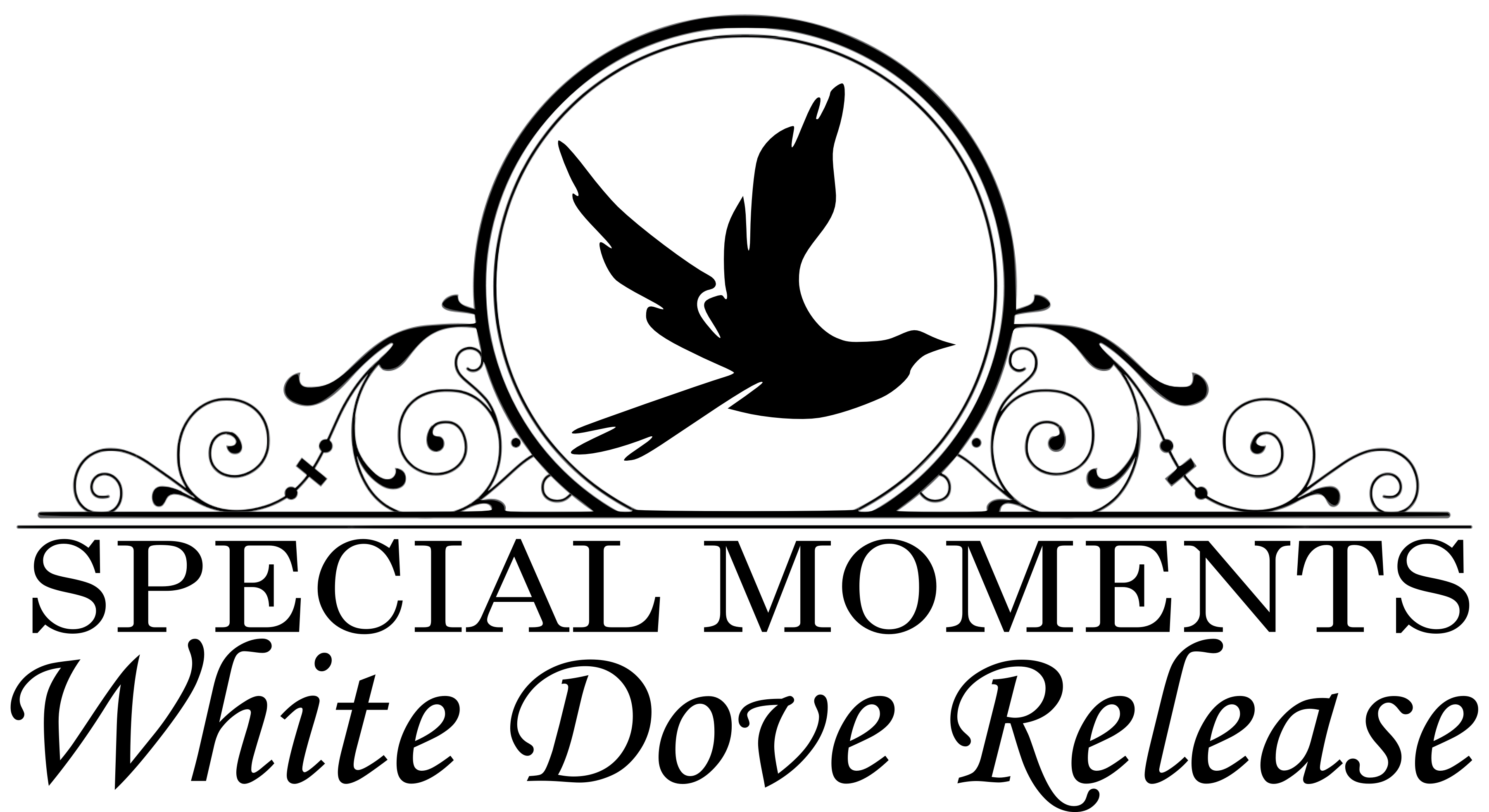 3604x1967 Special Moments White Dove Release