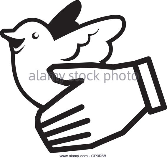 567x540 White Dove Flying Symbol Love Stock Photos Amp White Dove Flying