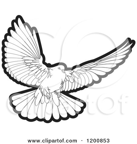450x470 White Dove Clipart Dove Flying
