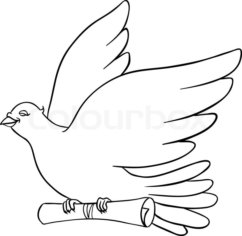 800x779 White Dove With A Message On A White Background Stock Vector