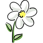 165x165 White Flower Clipart Clipart Panda