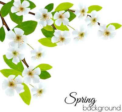401x368 White Flower Clip Art Free Vector Download (214,630 Free Vector