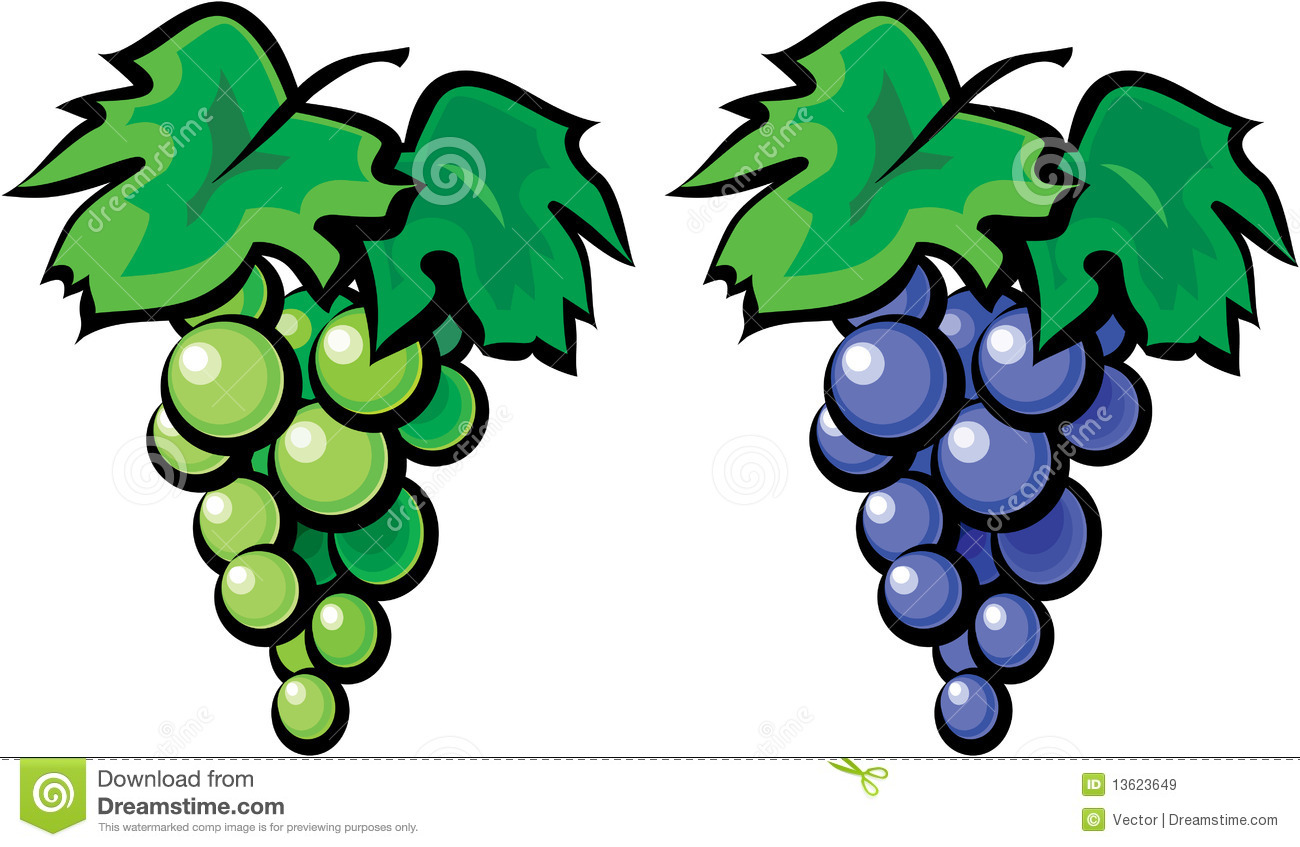 1300x847 Grape Vine Clipart